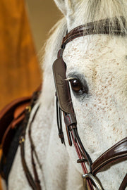 Dy'on Focus Cheek Pieces Blinkers - Vision Saddlery