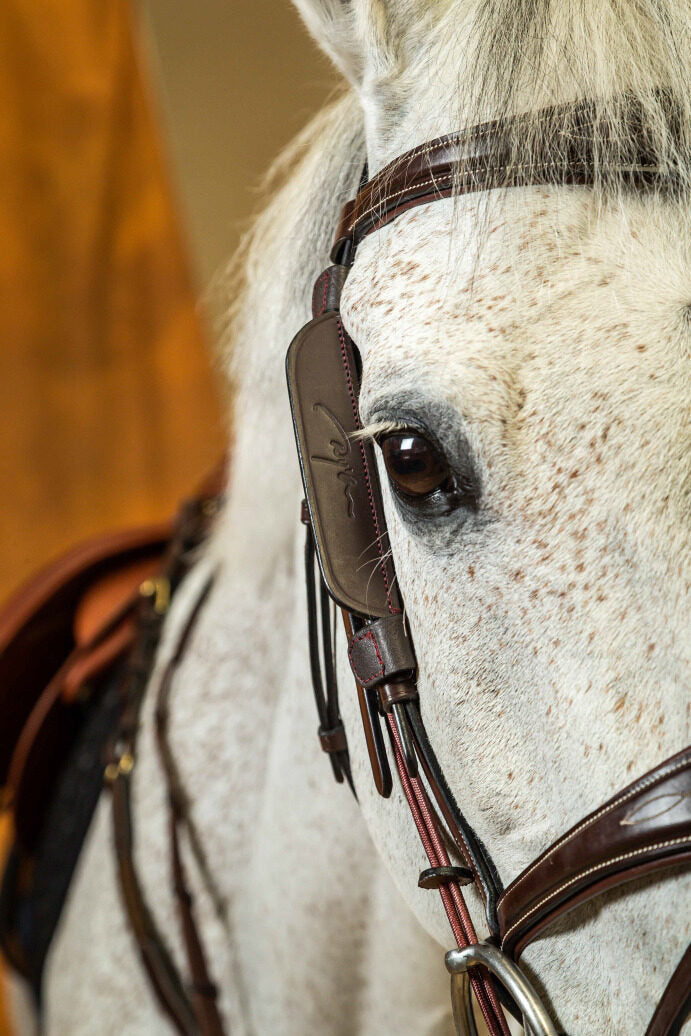 Dy'on Focus Cheek Pieces Blinkers - Vision Saddlery
