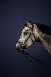Dy'on New English Collection Hackamore Cheek Pieces - Vision Saddlery