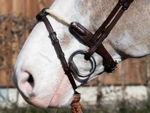 Dy'on New English Collection Flash Noseband Strap - Vision Saddlery