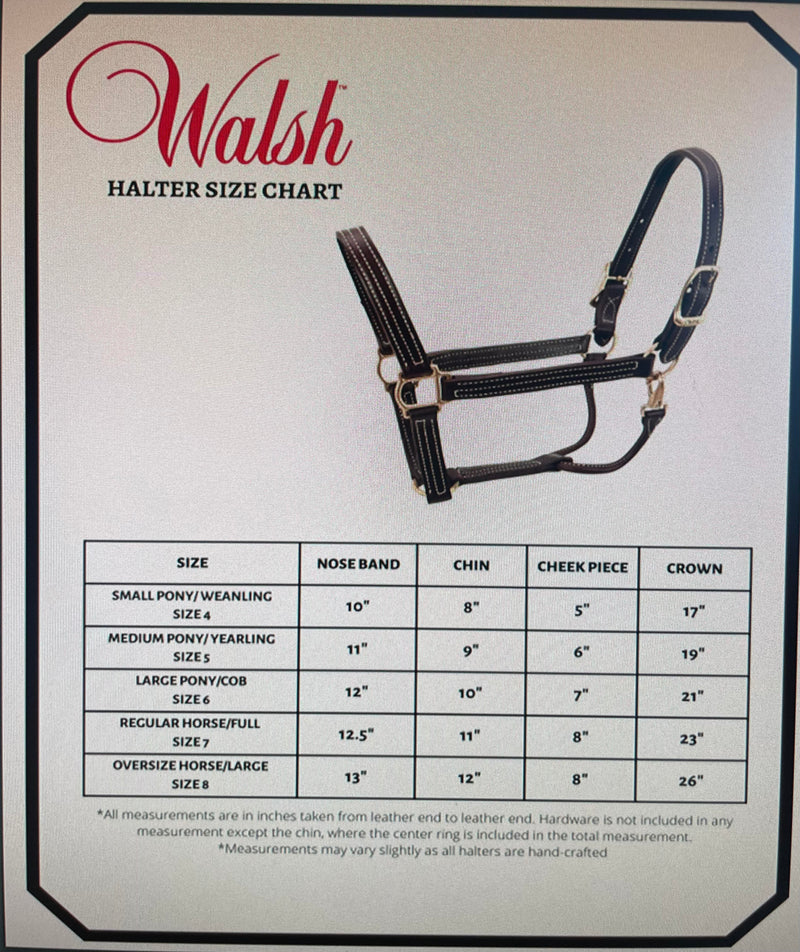 Walsh British Halter - Vision Saddlery